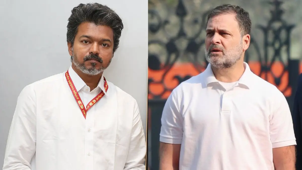 tvk vs congress