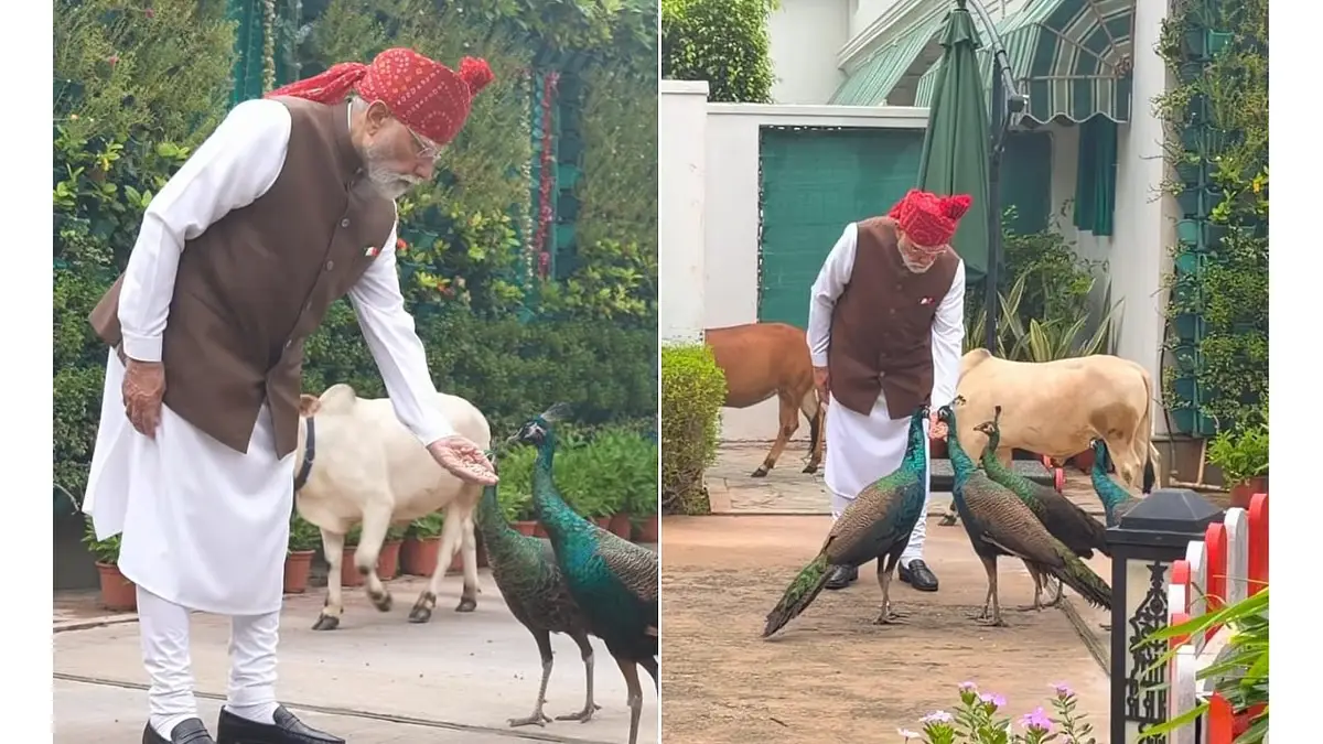 PM modi